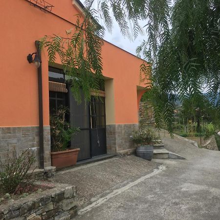 Olivo Al Mare - By Host4U Apartment Dolcedo Bagian luar foto