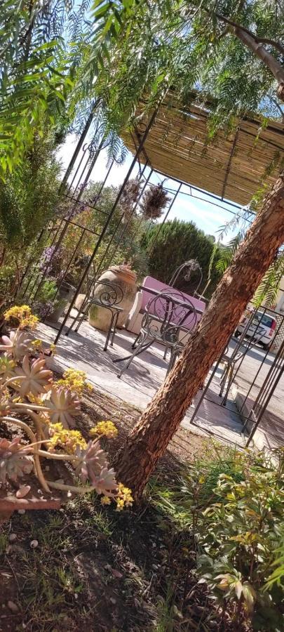 Olivo Al Mare - By Host4U Apartment Dolcedo Bagian luar foto