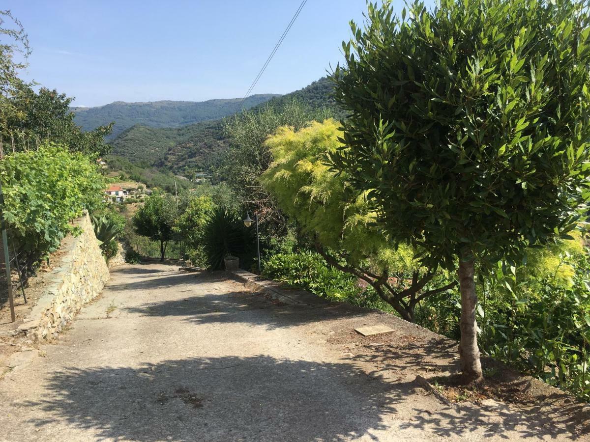 Olivo Al Mare - By Host4U Apartment Dolcedo Bagian luar foto