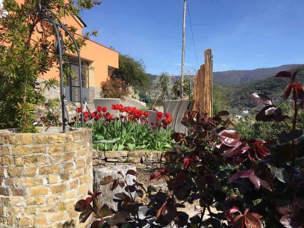 Olivo Al Mare - By Host4U Apartment Dolcedo Bagian luar foto